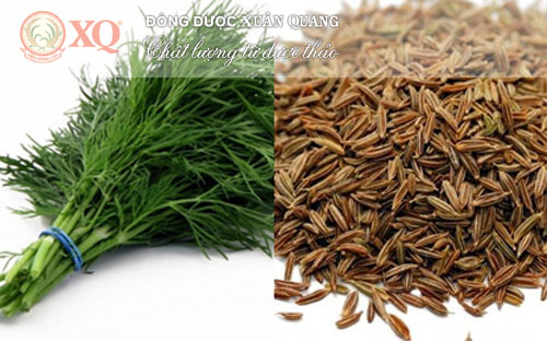 KINH NGHIỆM DÂN GIAN TRỊ NGỘ ĐỘC THỨC ĂN