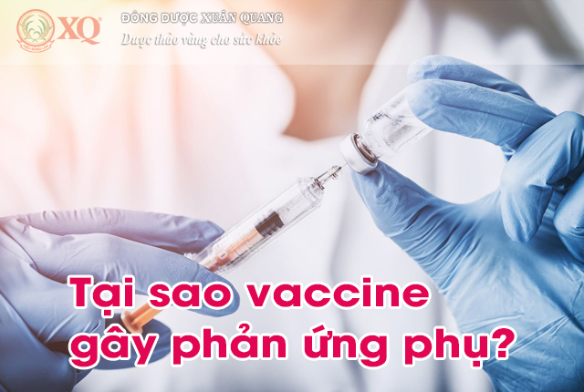 Tại sao vaccine gây phản ứng phụ?