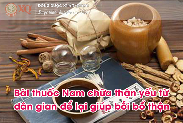 Bài thuốc Nam chữa thận yếu từ dân gian để lại giúp bồi bổ thận