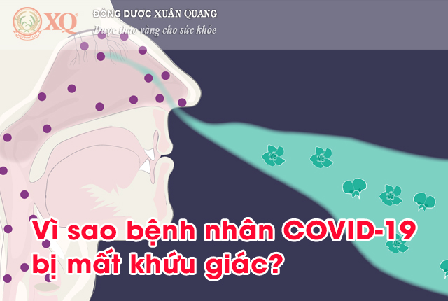 Vì sao bệnh nhân COVID-19 bị mất khứu giác?