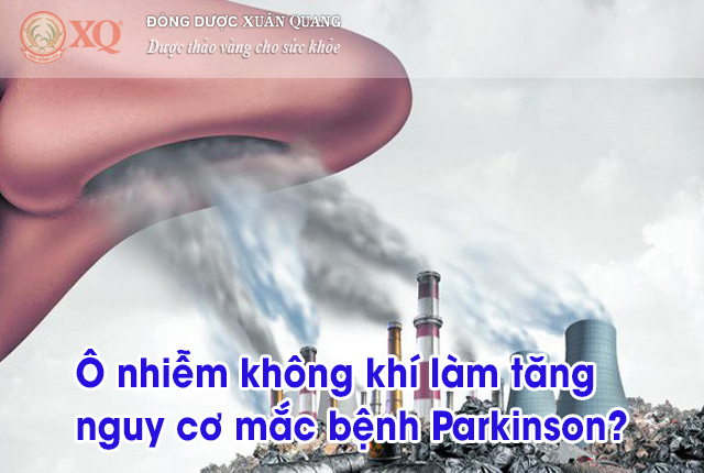 Ô nhiễm không khí làm tăng nguy cơ mắc bệnh Parkinson?