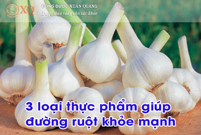 3 loại thực phẩm giúp đường ruột khỏe mạnh
