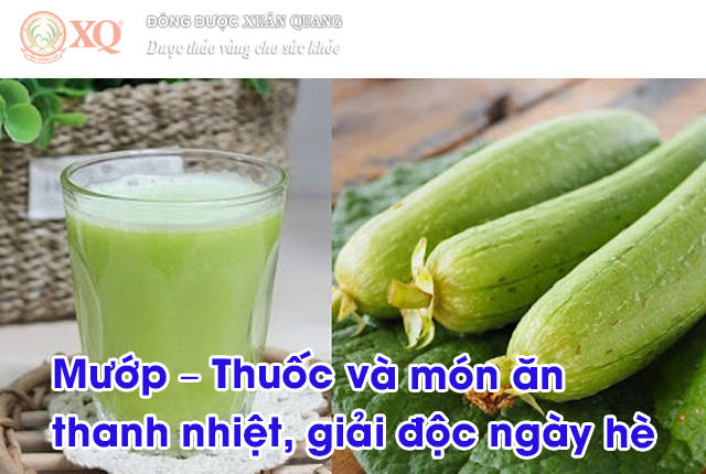 Mướp – Thuốc và món ăn thanh nhiệt, giải độc ngày hè