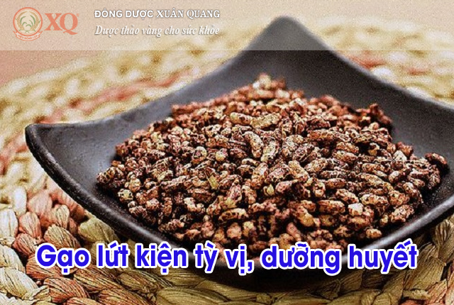 Gạo lứt kiện tỳ vị, dưỡng huyết
