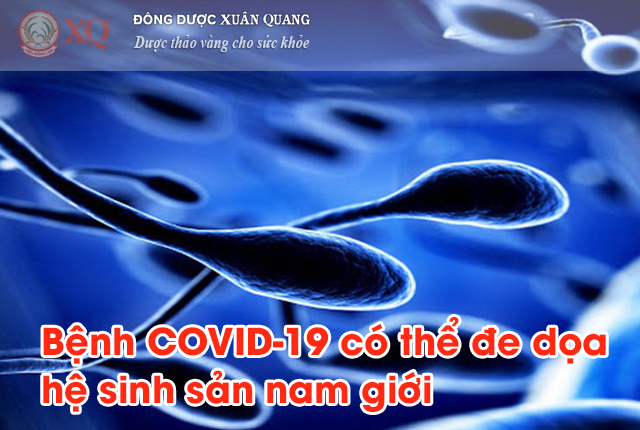 Bệnh COVID-19 có thể đe dọa hệ sinh sản nam giới