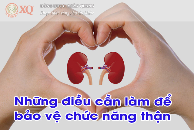 Những điều cần làm để bảo vệ chức năng thận 