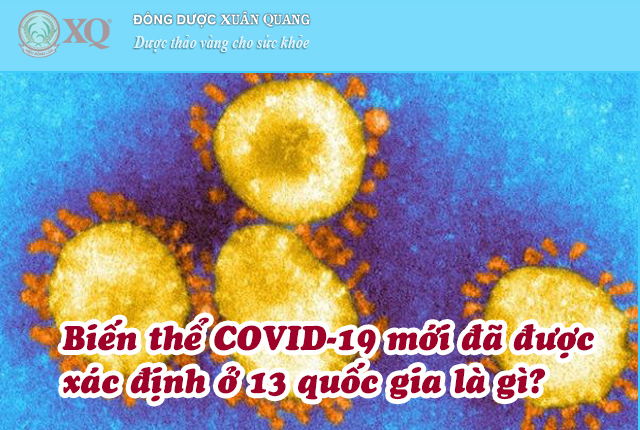 Biến thể COVID-19 mới đã được xác định ở 13 quốc gia là gì?
