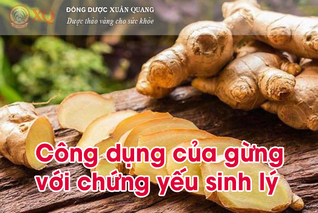 Công dụng của gừng với chứng yếu sinh lý